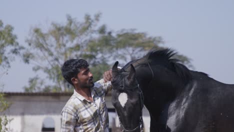 a south asian indian man patting in love on a black horse in a garden outdoors