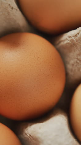 video de primer plano de huevos marrones en fondo de cartón de huevos