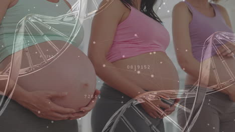 dna 가닥, 네트워크 및 다양한 임산부 여성의 중간 절단에 대한 데이터