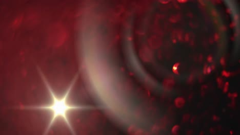 mancha de luz que se mueve contra las formas de pétalos de rosa roja sobre fondo negro