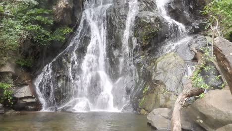 beautiful waterfalls in midi l of the forest .