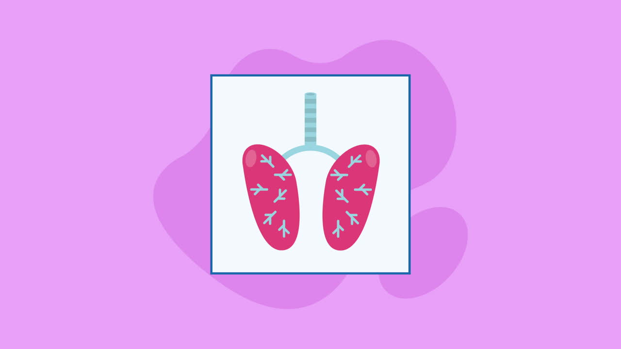 diagrama de los pulmones humanos
