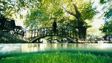 half half video of underwater of river and the bridge on the river