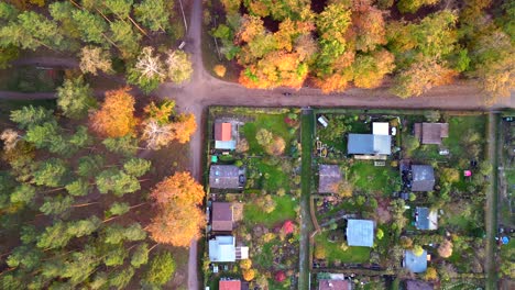 Allotment-gardens-berlin-teufelsberg