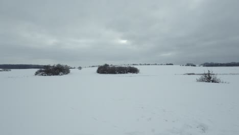 barren empty frozen snow covered landscape with shrubs and bushes in the distance