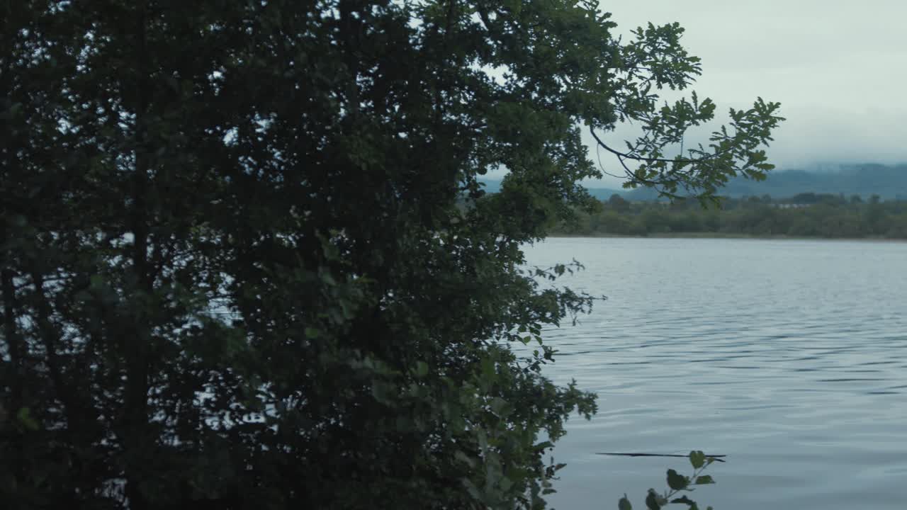 식물 사이로 범람된 강을 따라 표류