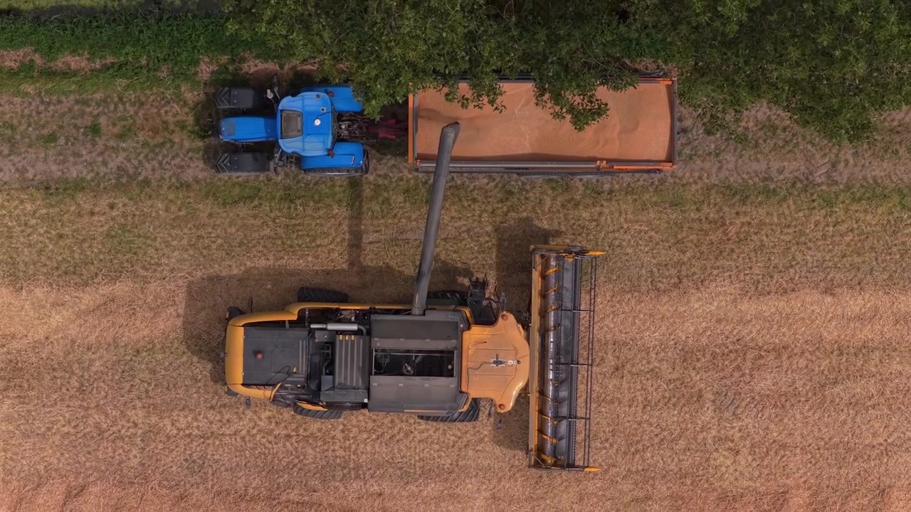 Combine harvester unloading grain into tractor trailer aerial top down view