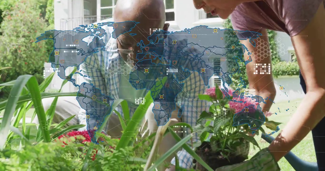 Coppia che fa giardinaggio pianta fiori rossi per il giardino, mentre un'interfaccia tecnologica reagisce e mostra dati globali.