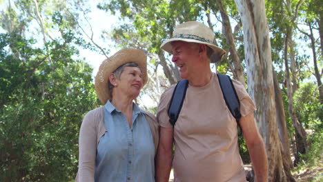 Pareja-Madura-Caminando-Juntos-Por-El-Sendero-Del-Bosque