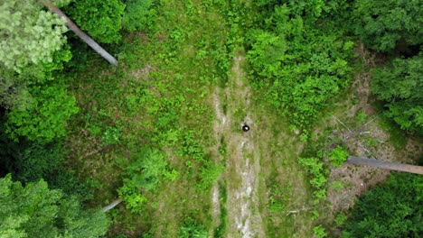 top view of grim reaper with scythe walking in the wilderness, searching for soul