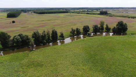 trees on the bank of river with green meadow in daytime