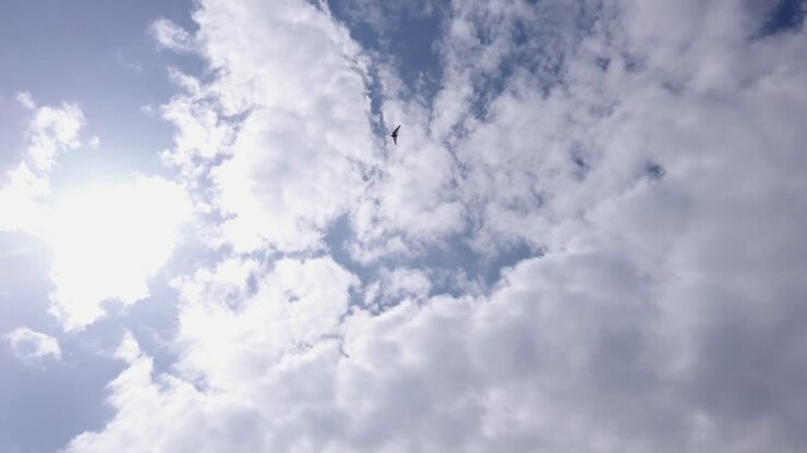 Un grandangolo estremo di un trike aereo che vola tra le nuvole visto dal basso in una bella giornata.