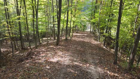 Schöner-Herbstwaldspaziergang,-Ländliche-Szene-In-Der-Herbstsaison