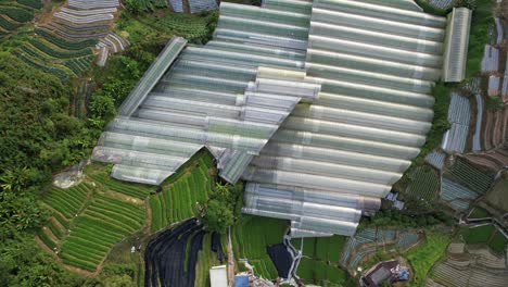 general landscape view of the brinchang district within the cameron highlands area of malaysia