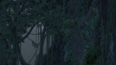 dark and lush jungle at night