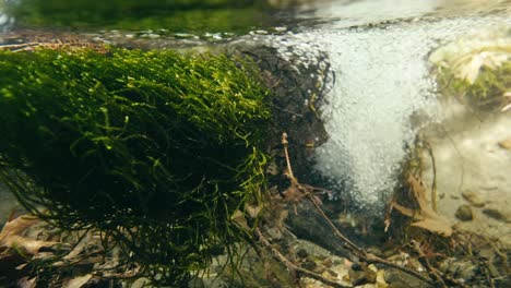 natural spring water outlet close to the surface underwater