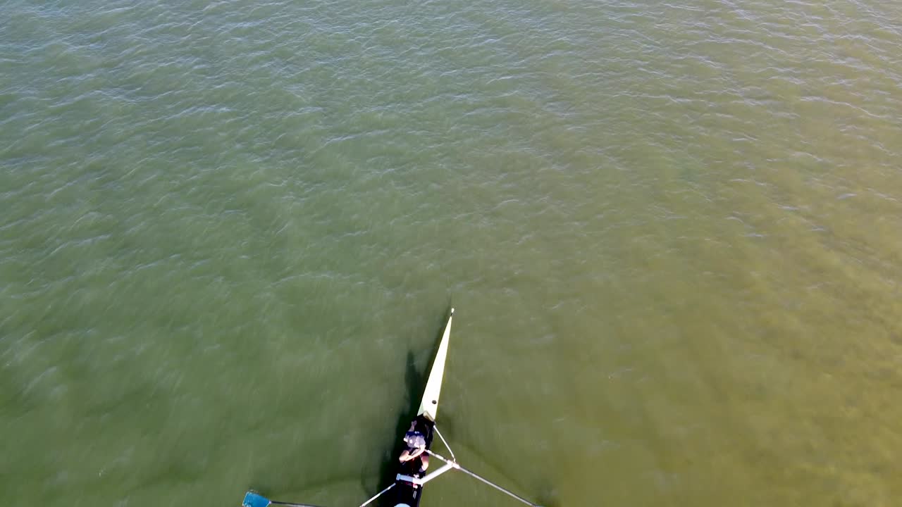 공중 - 강 위에서 훈련하는 노 젓는 사람의 오버헤드 드론 샷