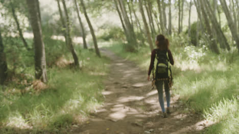 african american woman wearing backpack and hiking with trekking pole in forest, slow motion