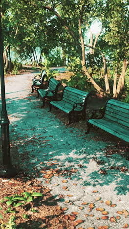 park benches under trees