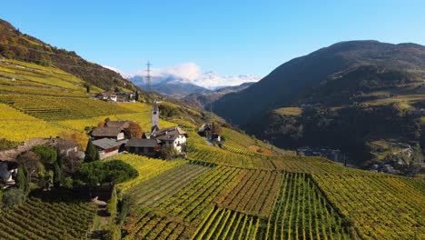 aerial drone over the vineyards, and the church of st