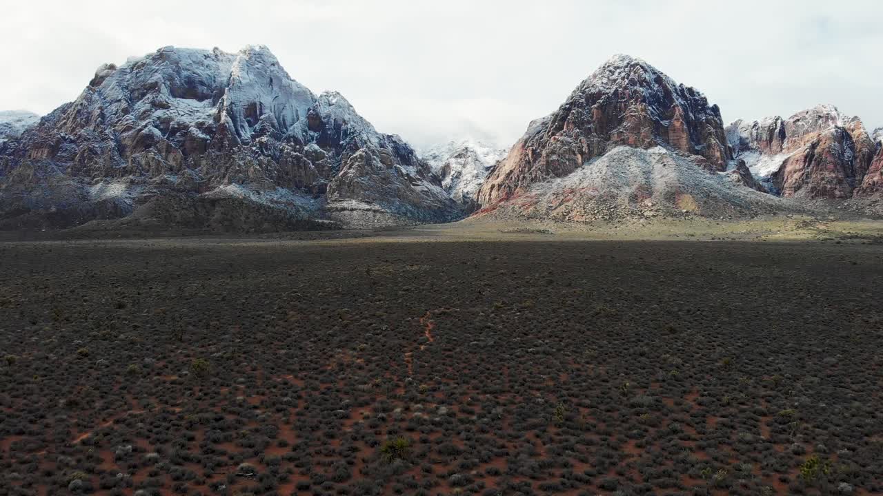 drone aéreo disparado a lo largo de un sendero con árboles de yuca, cactus y montañas cubiertas de nieve en el fondo durante el invierno