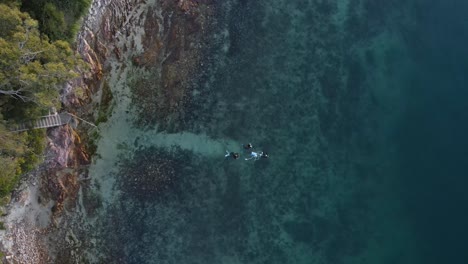 a group of scuba divers walking through the water ready to dive a tropical reef in clear blue water