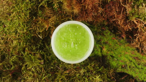 bottle of cosmetics cream serum on moss forest background green leaves. woman make up healthy natural products.