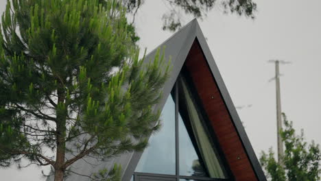 modern a-frame building with large glass windows, adjacent to a lush green pine tree