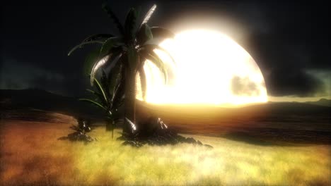 puesta de sol en las dunas de arena