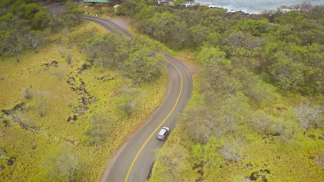 aerial of vehicle driving towards hawaii coastline