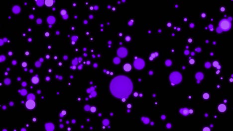 medium size dot ball moving animation motion graphics