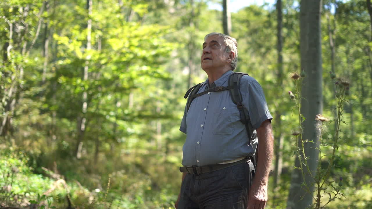 hombre caminando en un bosque