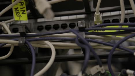 Ethernet-Kabel,-Die-An-Einen-Modernen-Internet-Netzwerk-Switch-Angeschlossen-Sind