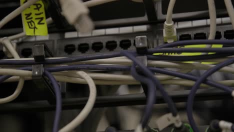 ethernet cables plugged into modern internet network switch