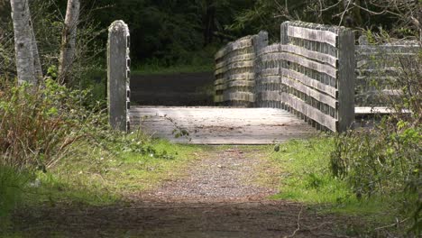 man walks down wooden pathway