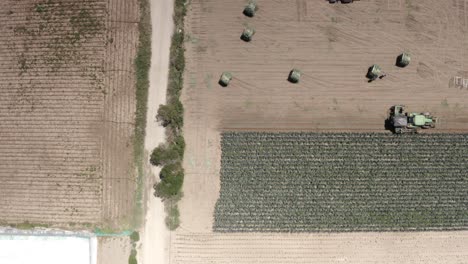 aerial view of harvesting onions