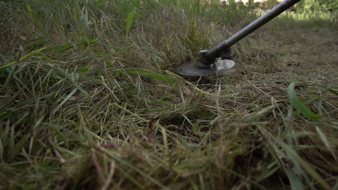 정원사 들 은 잡초 를 고 풀 을 는다