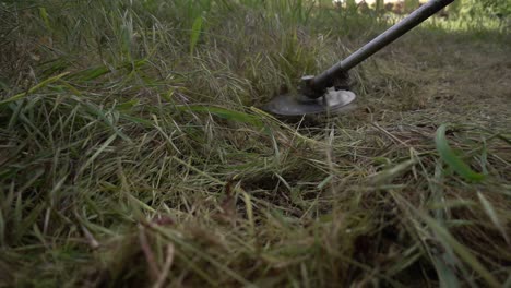 gardener mows weeds grass