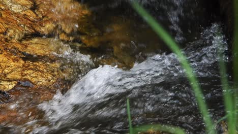 Crystal-clear-fresh-mountain-waterfall-crocodile-river-water-sparkling-and-flowing-over-rocks-and-pebbles-in-the-background-at-the-walter-sisulu-national-botanical-gardens-in-roodepoort,-South-Africa