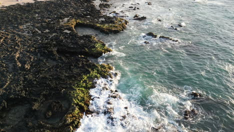 fixed high view of the tide waves crashing against the rocky shore at sandy beach in oahu, hawaii