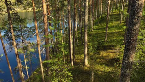 Aerial-View-of-the-Lake-and-Forest-in-Finland.-Beautiful-nature-of-Finland.