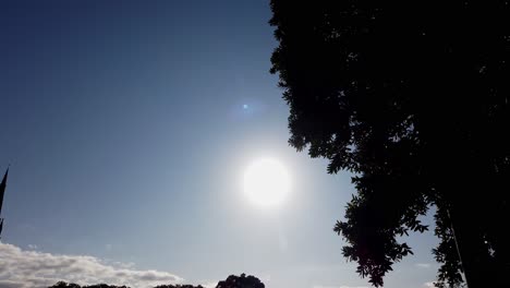 Super-bright-sun-with-silhouette-tree-and-blue-sky,-slow-motion,-Sydney