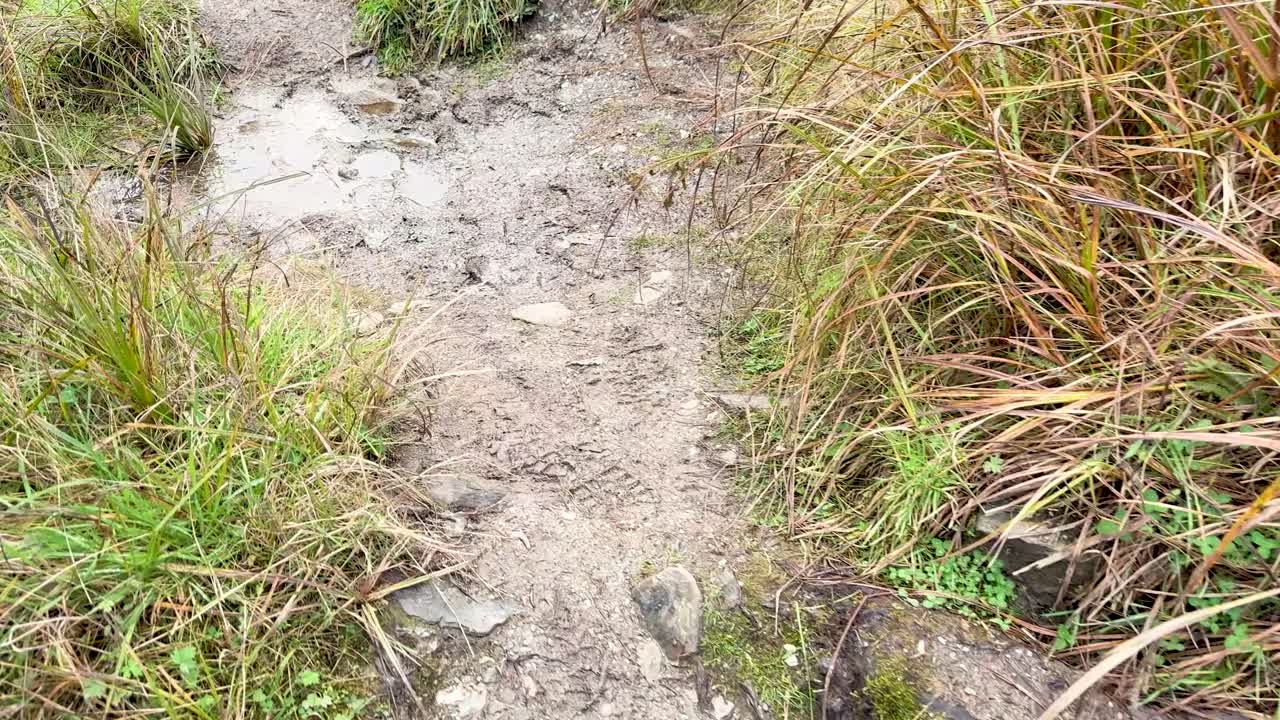 First-person view walking a muddy, grassy trail with overcast natural lighting and steady movement