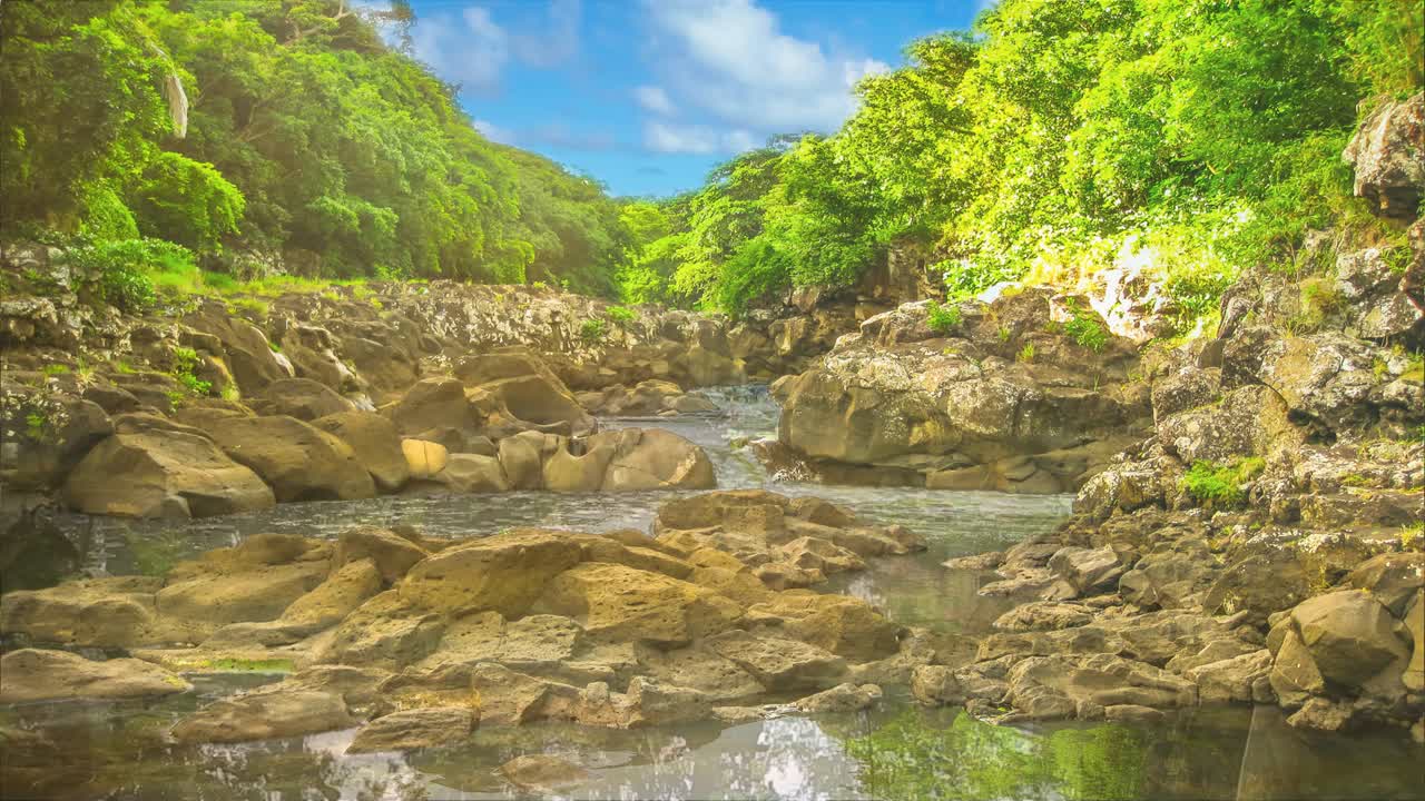Black River Gorges in Mauritius Cinemagraph