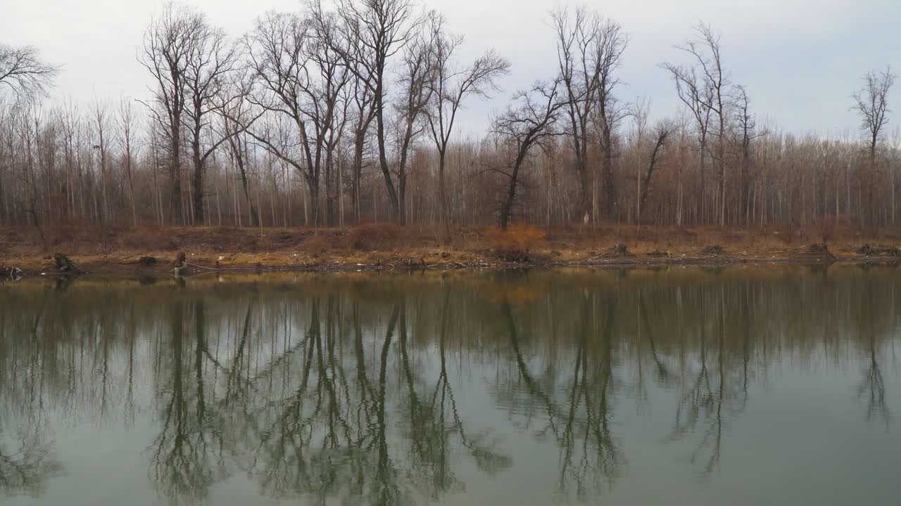 Splendido video panoramico 4K del fiume con foresta sullo sfondo