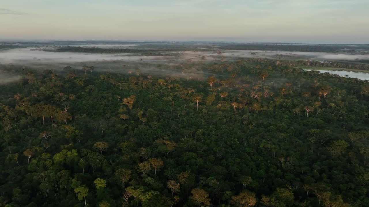 vista aérea de drones del amanecer escénico en la selva tropical amazónica con rayos de niebla vívidos en la mañana cerca de un lago fluvial