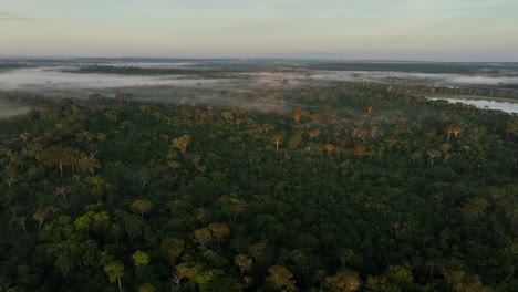 Aerial-drone-fly-view-of-scenic-sunrise-at-amazon-tropical-jungle-rainforest-with-vivid-fog-rays-in-the-morning-close-to-a-river-lake