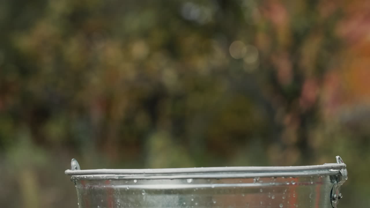 빨간 사과가 양동이 물에 빠지다