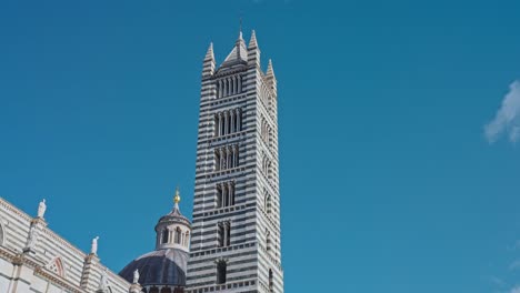 la torre del duomo de siena contra un claro cielo azul, siena, italia