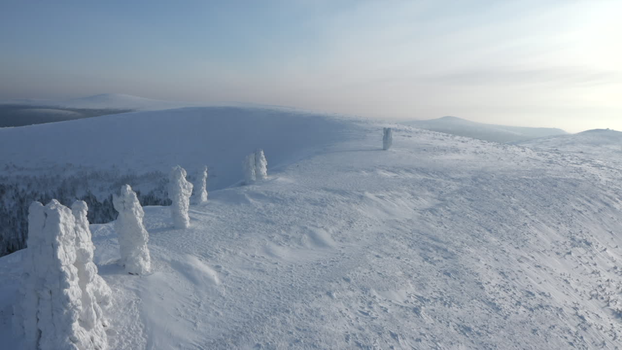 paisaje de montaña de invierno con árboles congelados